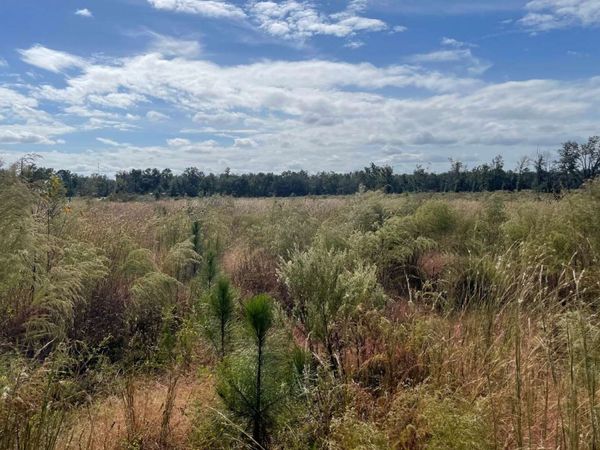 TBD 105TH ROAD, McAlpin, FL 32062