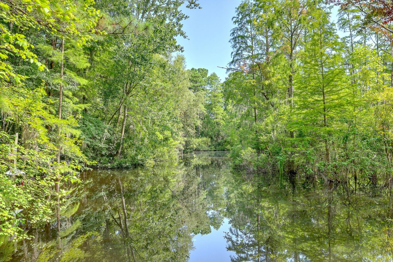 184 Burbank Drive Photo 58