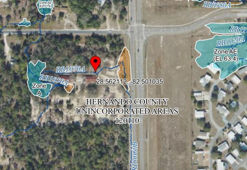 9247 Sunshine Grove Road, Brooksville, FL 34613 Photo