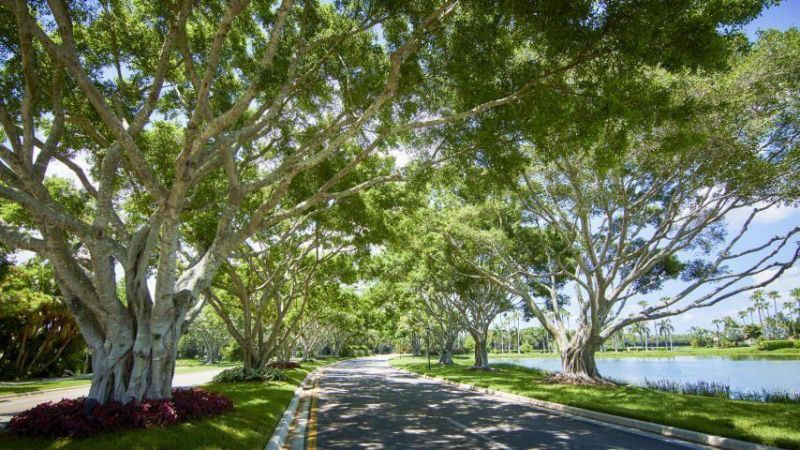 6760 Fox Hollow Drive, West Palm Beach, FL 33412 Photo