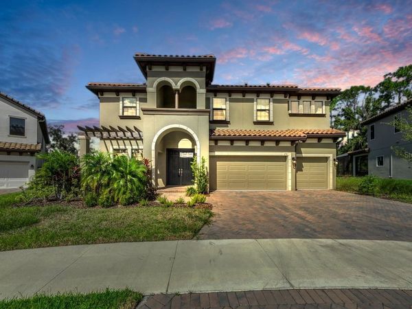 291 MOSSY RIVER COURT, BRANDON, FL 33511