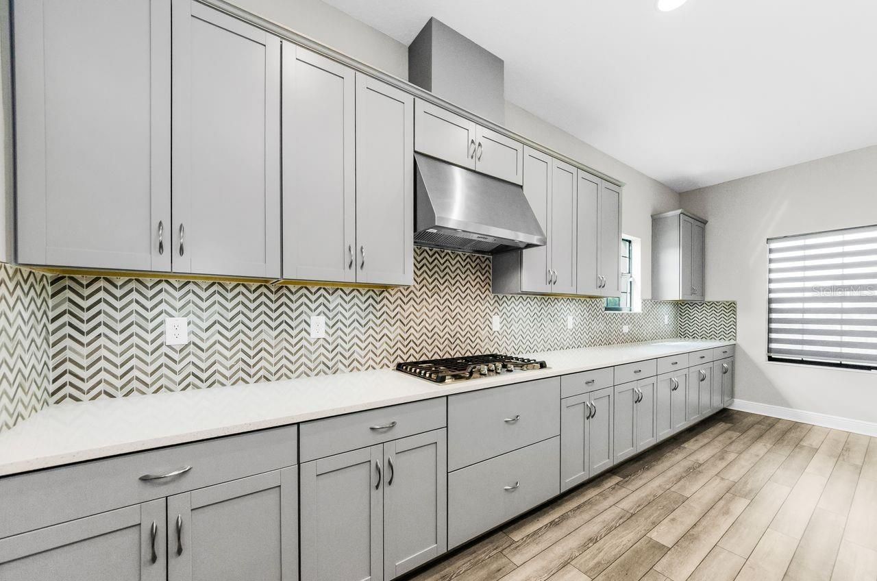 291 Mossy River Court, Brandon, FL 33511 Photo