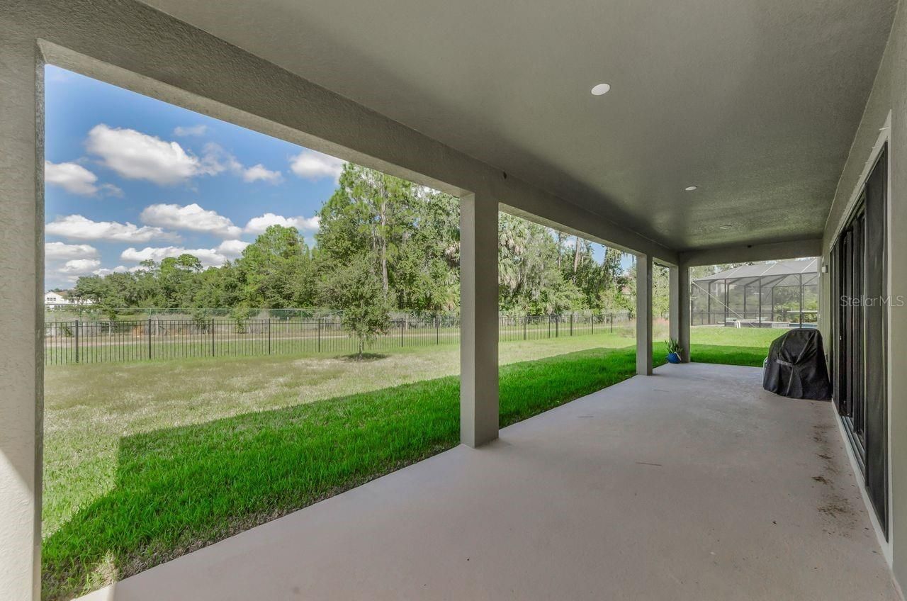 291 Mossy River Court, Brandon, FL 33511 Photo