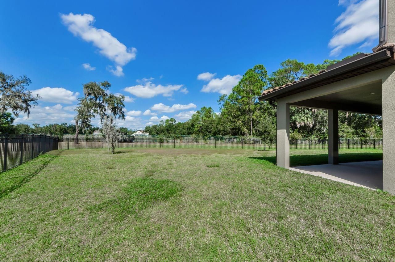 291 Mossy River Court, Brandon, FL 33511 Photo