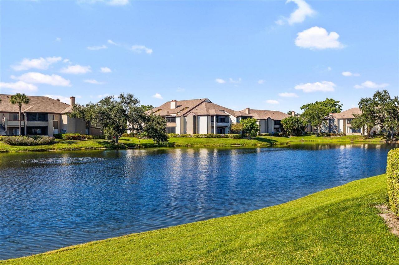 10263 Gandy Boulevard N, Unit 213, Saint Petersburg, FL 33702 Photo