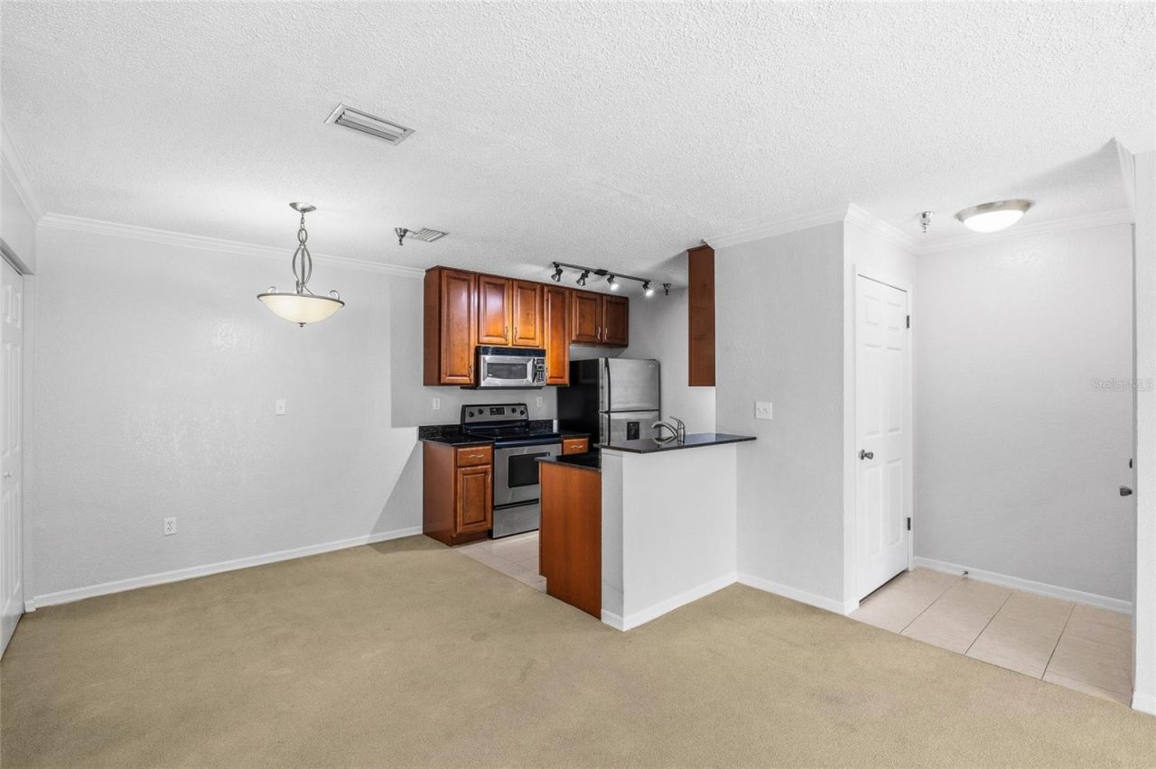 10263 Gandy Boulevard N, Unit 213, Saint Petersburg, FL 33702 Photo