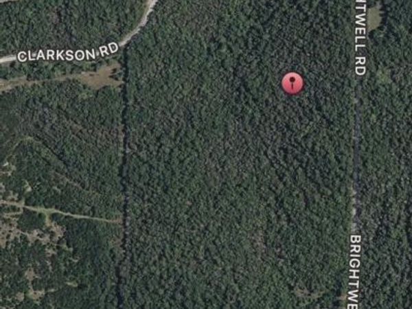 000 Clarkson Road, Protem, MO 65733