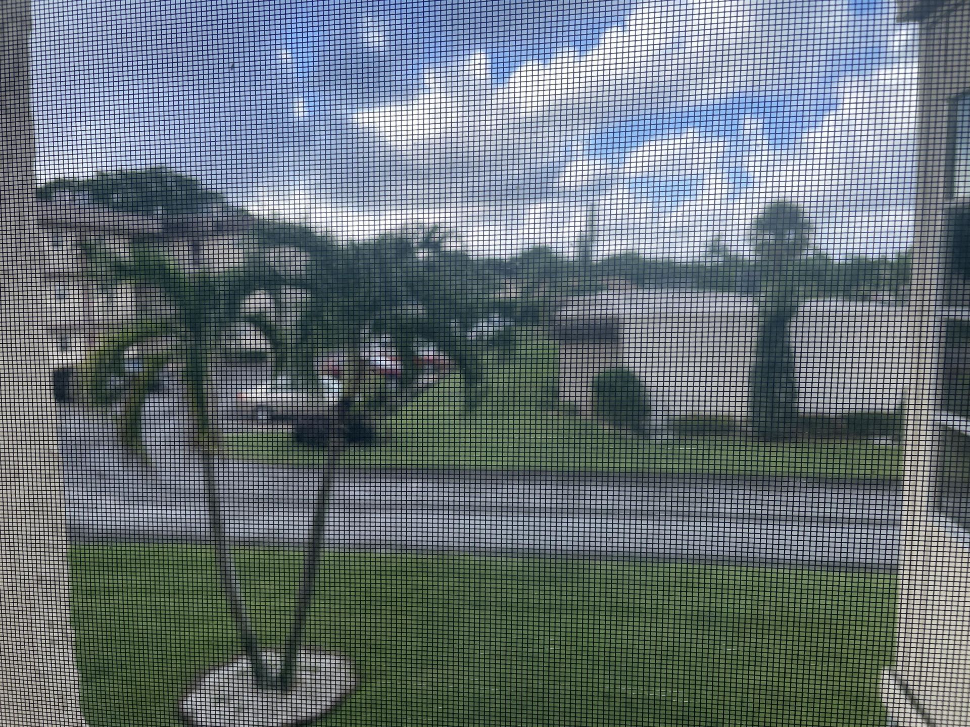 701 Lori Drive, Unit 202, Palm Springs, FL 33461 Photo