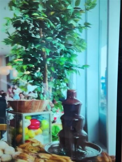 4111 S Ocean Drive, Unit 2107, Hollywood, FL 33019 Photo