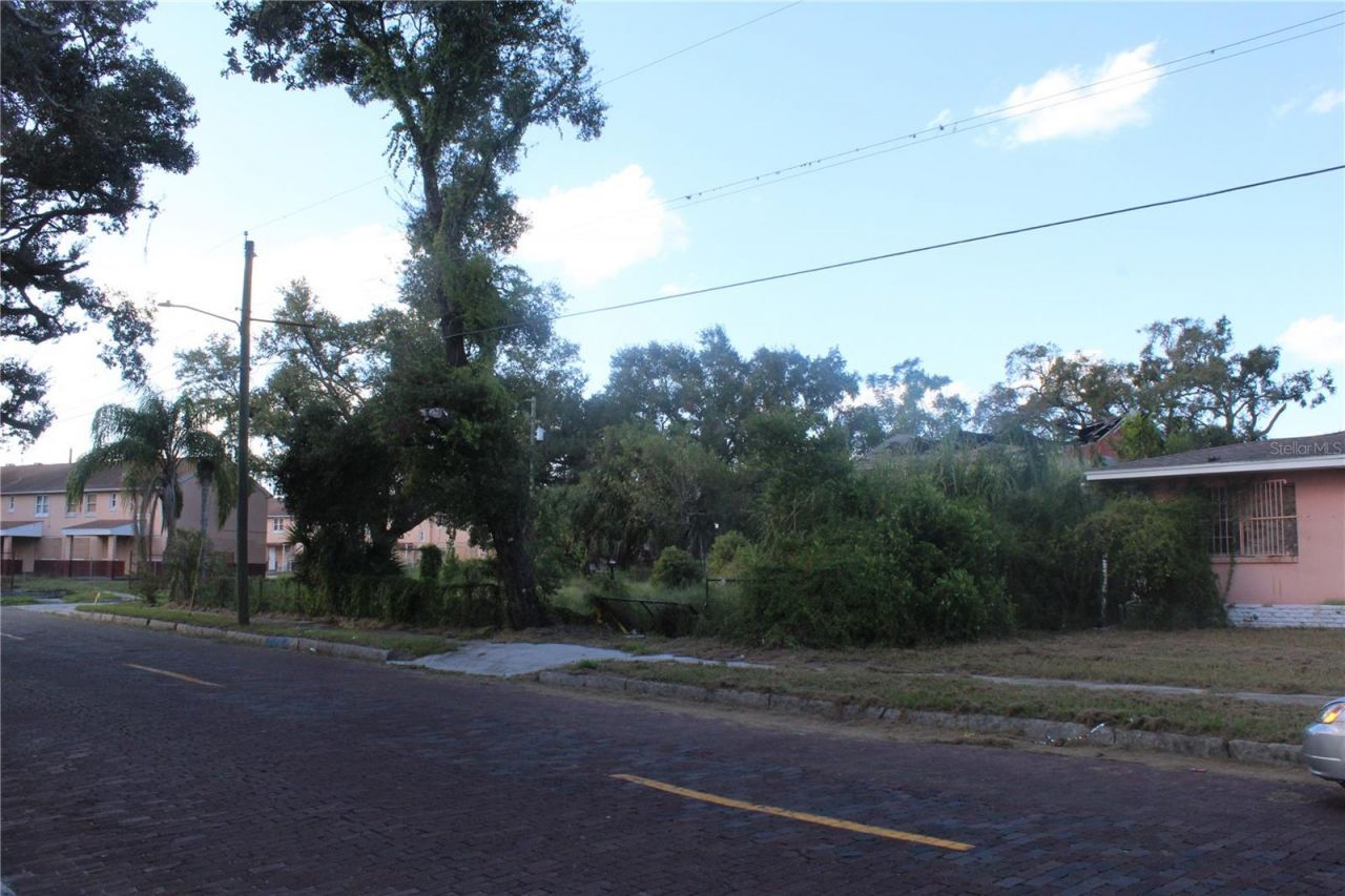 414 & 418 E Emily + 167408-0000 Street, Tampa, FL 33603 Photo