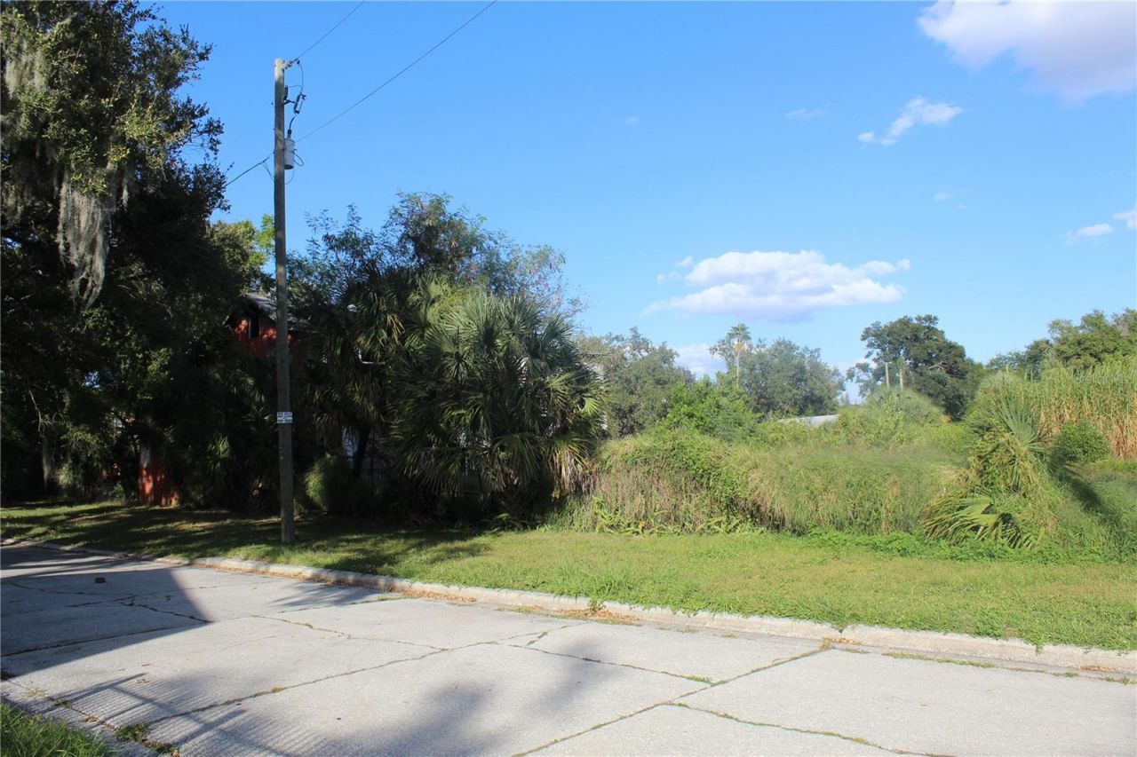 414 & 418 E Emily + 167408-0000 Street, Tampa, FL 33603 Photo
