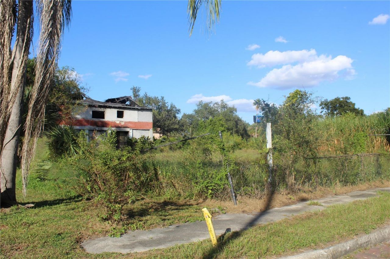 414 & 418 E Emily + 167408-0000 Street, Tampa, FL 33603 Photo