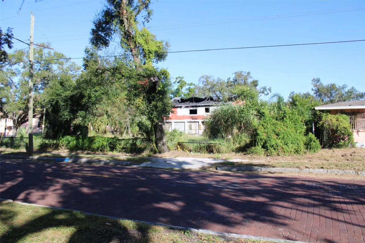 414 & 418 E Emily + 167408-0000 Street, Tampa, FL 33603 Photo