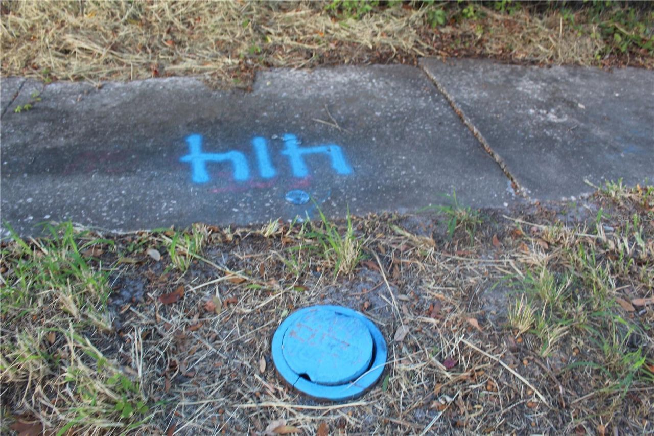 414 & 418 E Emily + 167408-0000 Street, Tampa, FL 33603 Photo