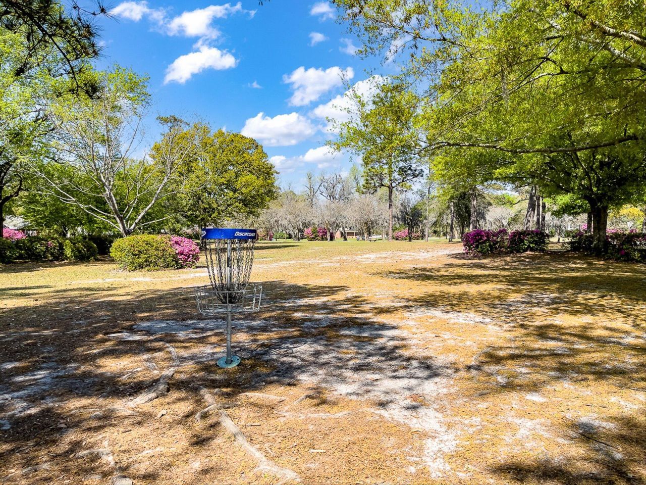 4566 Durant Avenue Photo 49