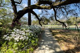 4566 Durant Avenue photo 4