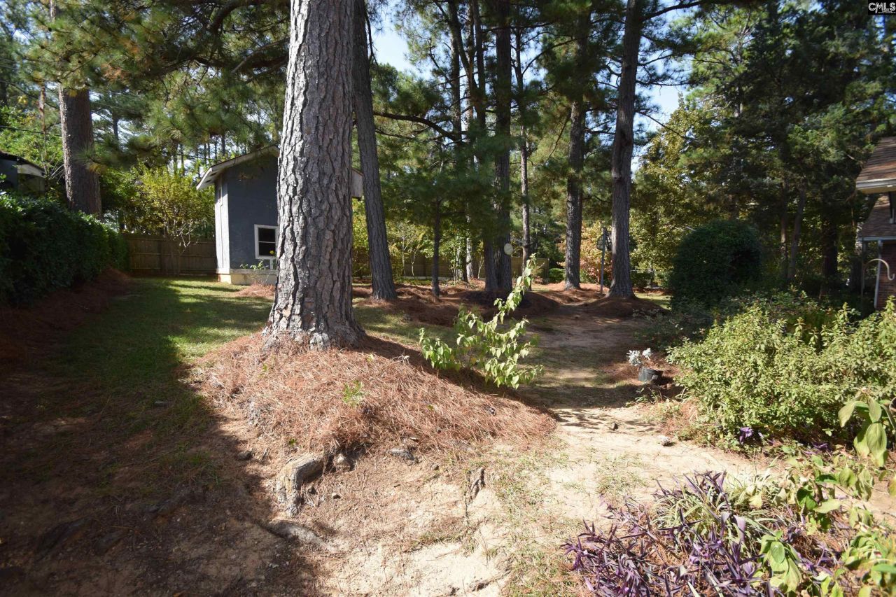 124 Boulters Lock Road  Photo 62