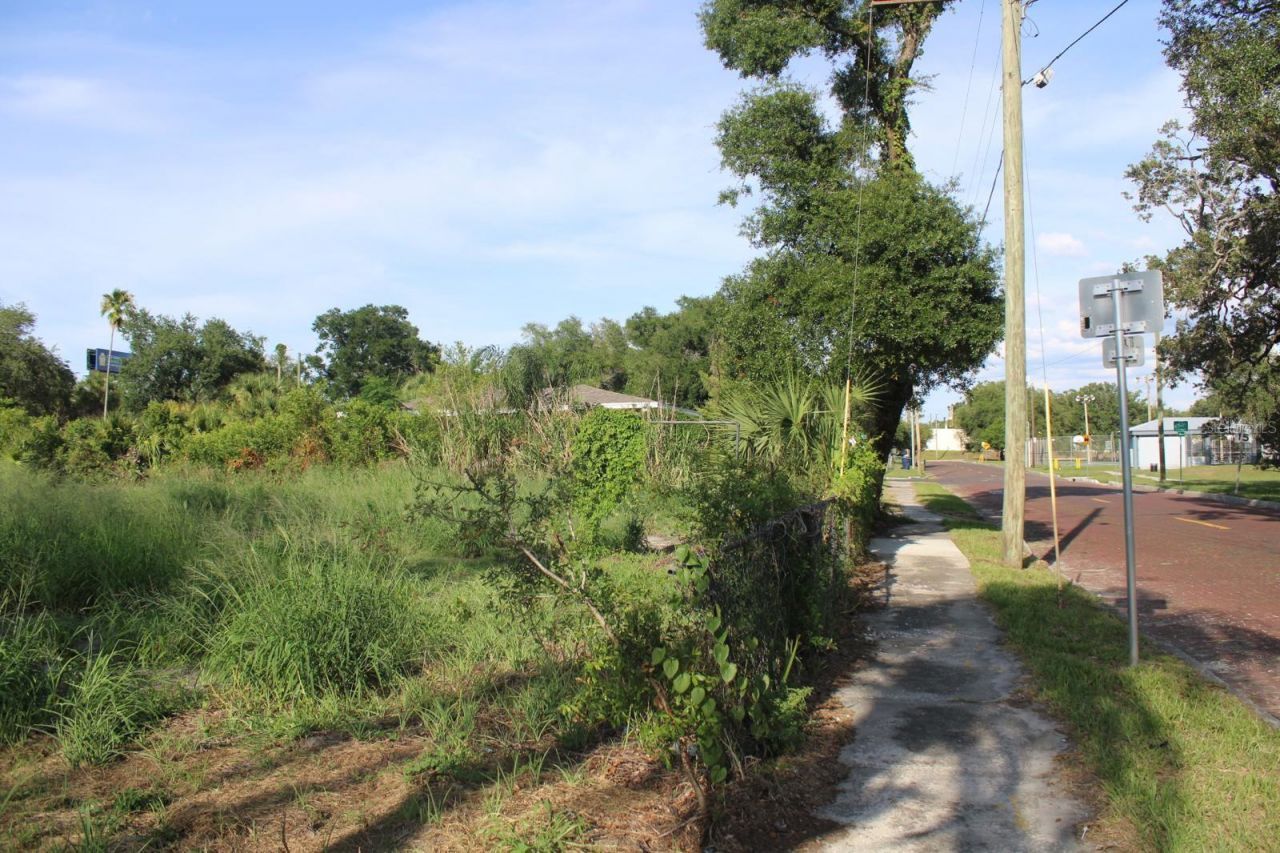 414 E Emily Street, Tampa, FL 33603 Photo