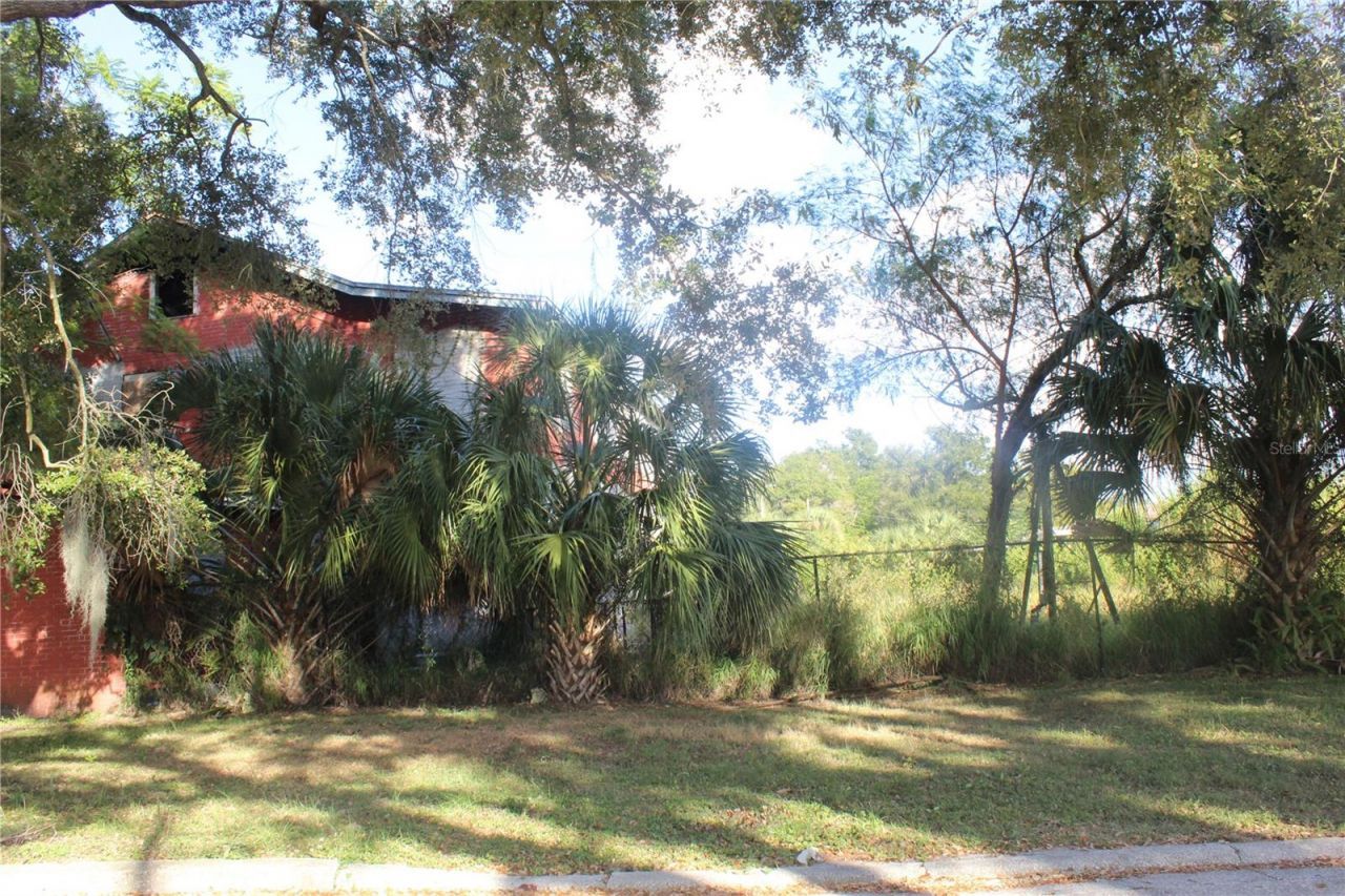 414 E Emily Street, Tampa, FL 33603 Photo