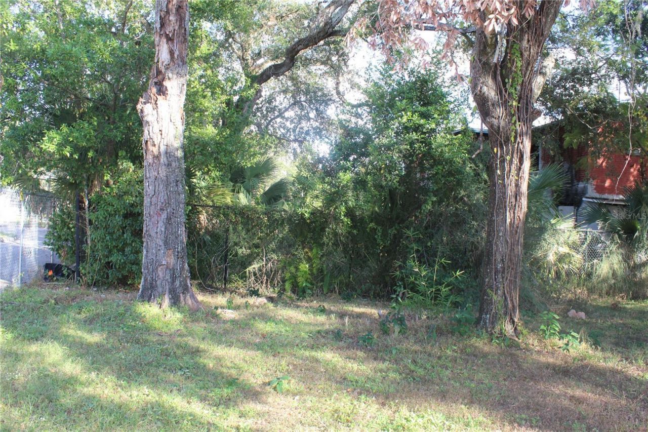 414 E Emily Street, Tampa, FL 33603 Photo