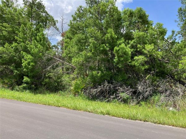 FOREHAND ROAD, DAVENPORT, FL 33896