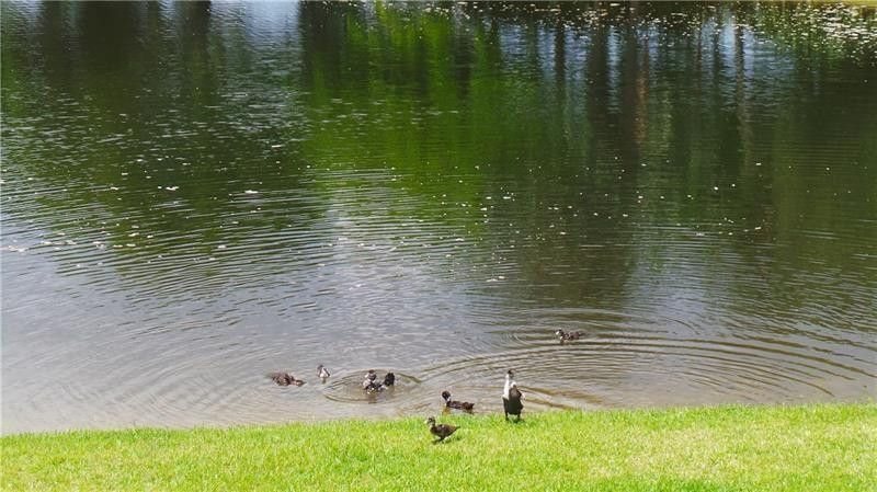 Please Call For Address, Coconut Creek, FL 33063 Photo