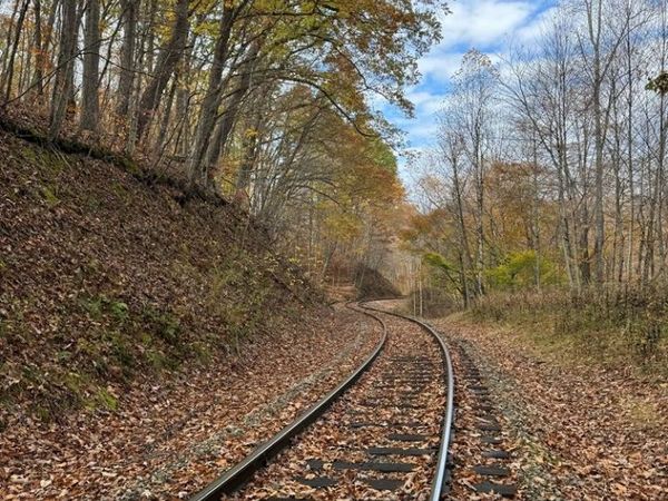Sewell Creek Road, MEADOW BRIDGE, WV 25962