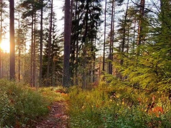 3719 Bradford Street NE, Grand Rapids, MI 49525