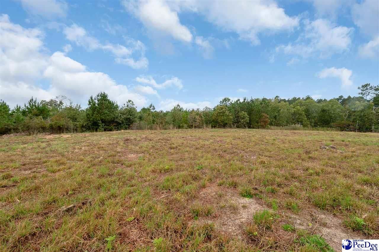 5263 Raleys Mill Road Photo 28