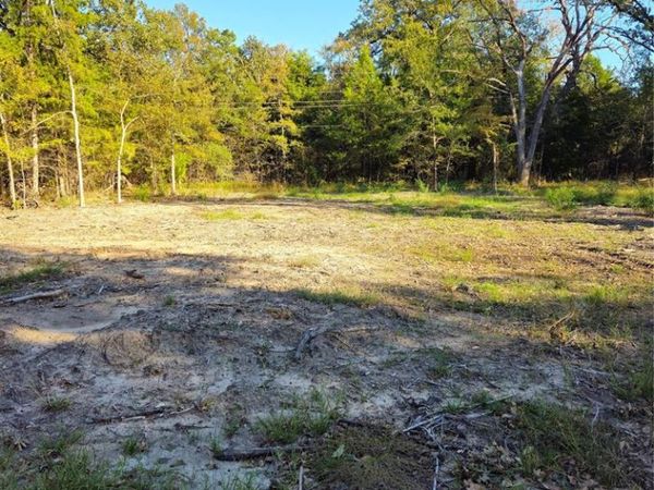 130 Dogwood Drive, Trinidad, TX 75163