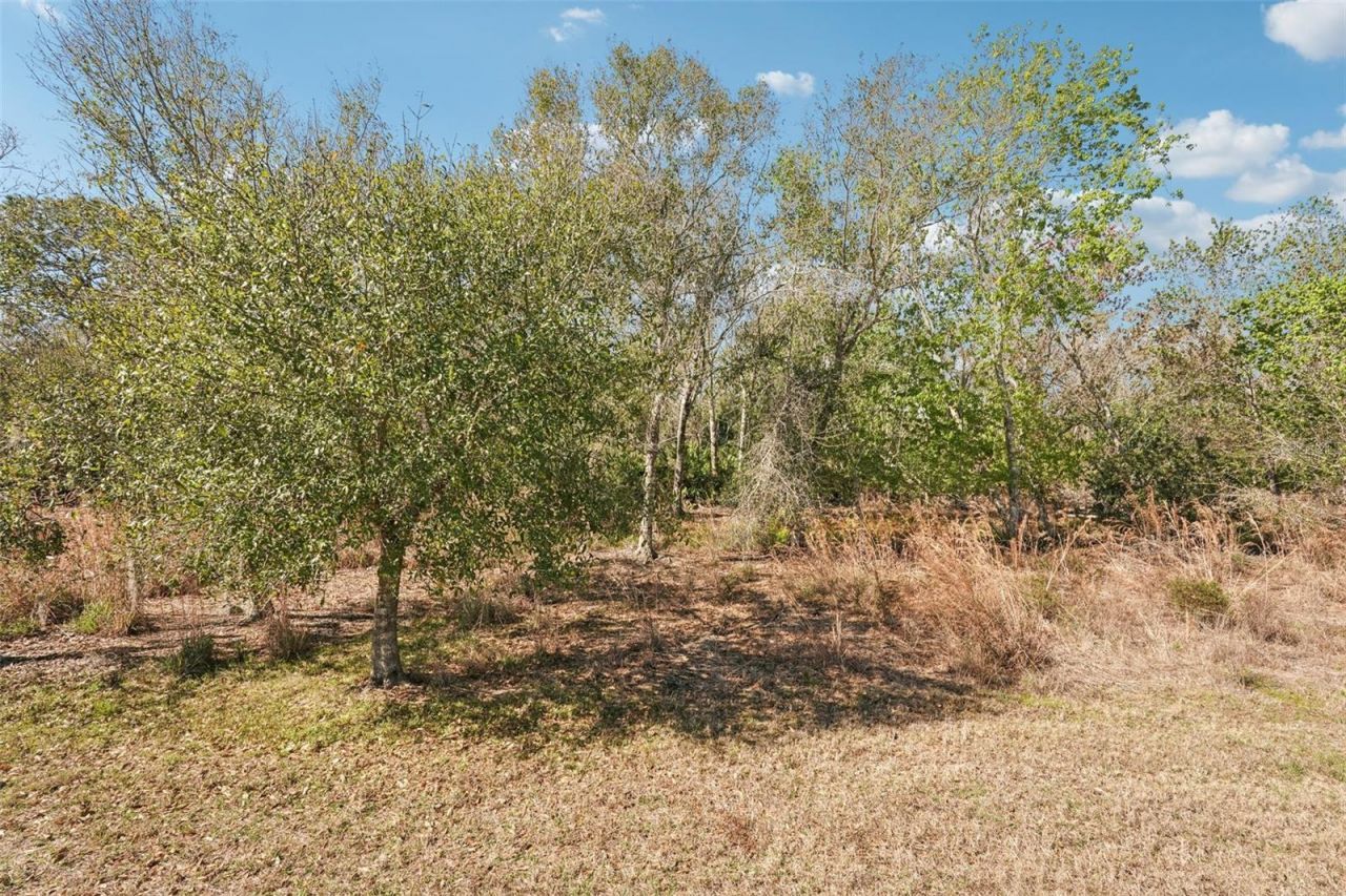 17148 Hampton Falls Terrace, Bradenton, FL 34202 Photo