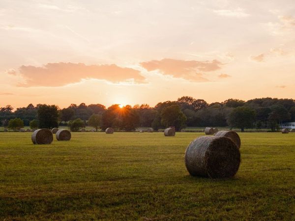 0 Gilliam Road, Gurley, AL 35748