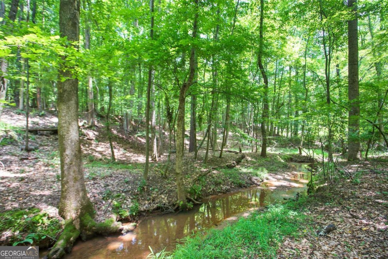 Lot20a Tanglewood Road, Newnan, GA 30263 Main Photo