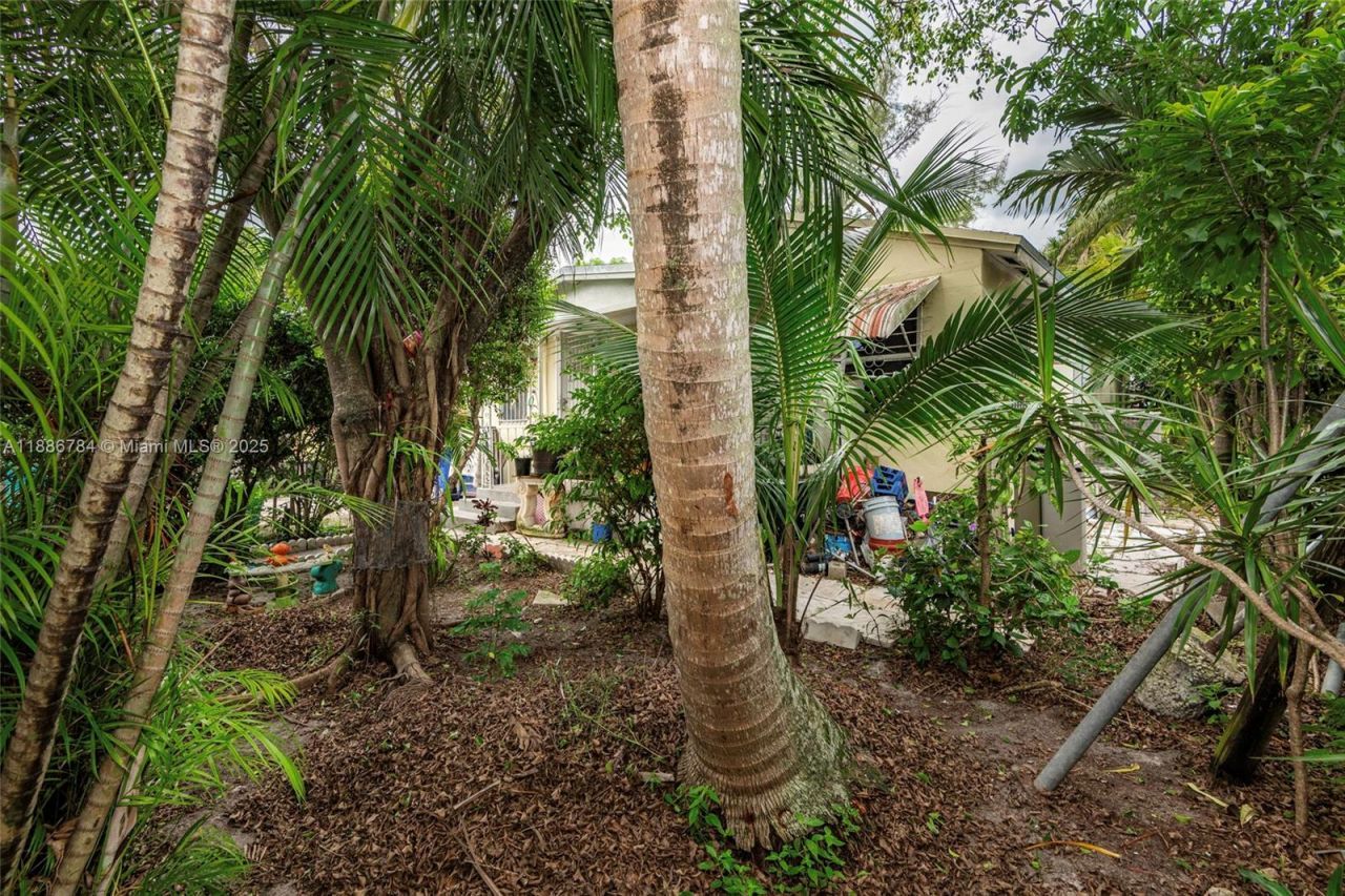 807 NW 109th St, Miami, FL 33168 Photo