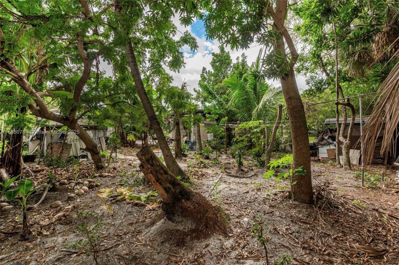 807 NW 109th St, Miami, FL 33168 Photo