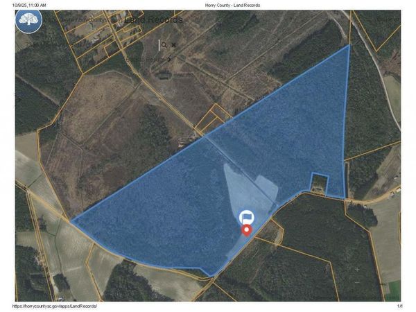 7320 Maple Wild Rd, Nichols, SC 29581