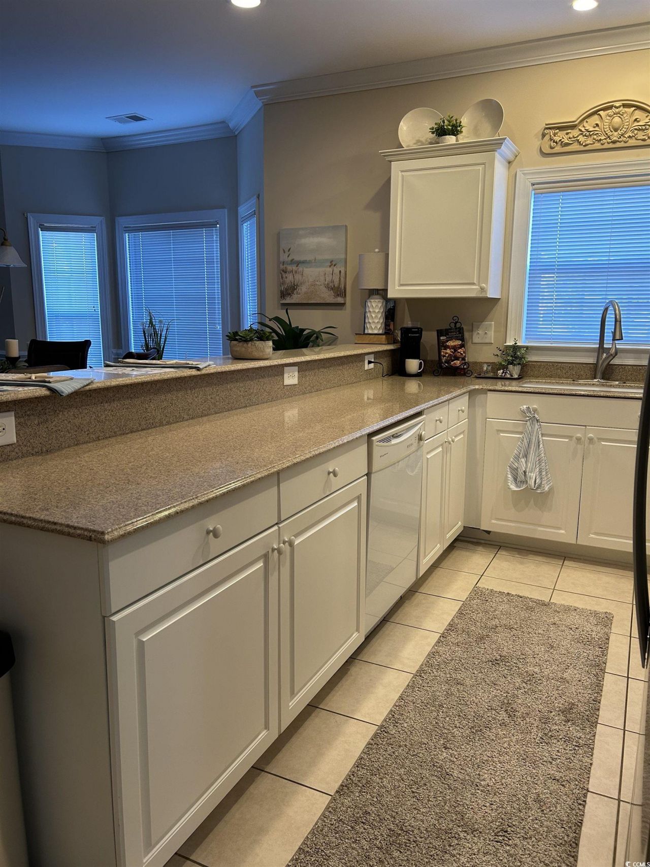 1001 Ray Costin Way Photo 4