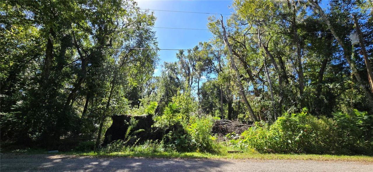 Foreside Avenue, Brooksville, FL 34601 Main Photo
