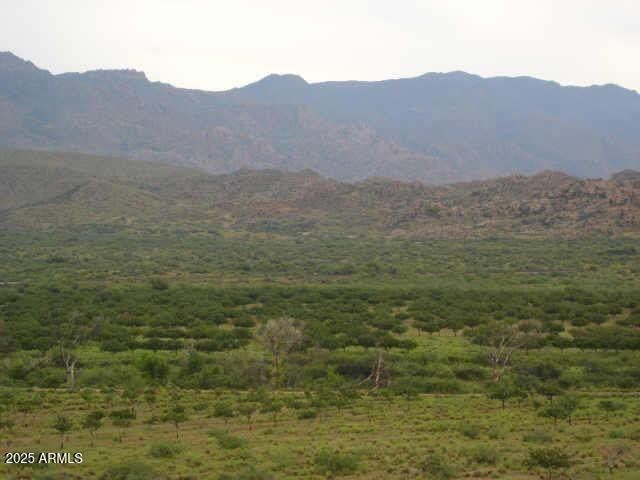 8 NW HIGHWAY 62 (DATE CREEK) Road NW, Congress, AZ 85332