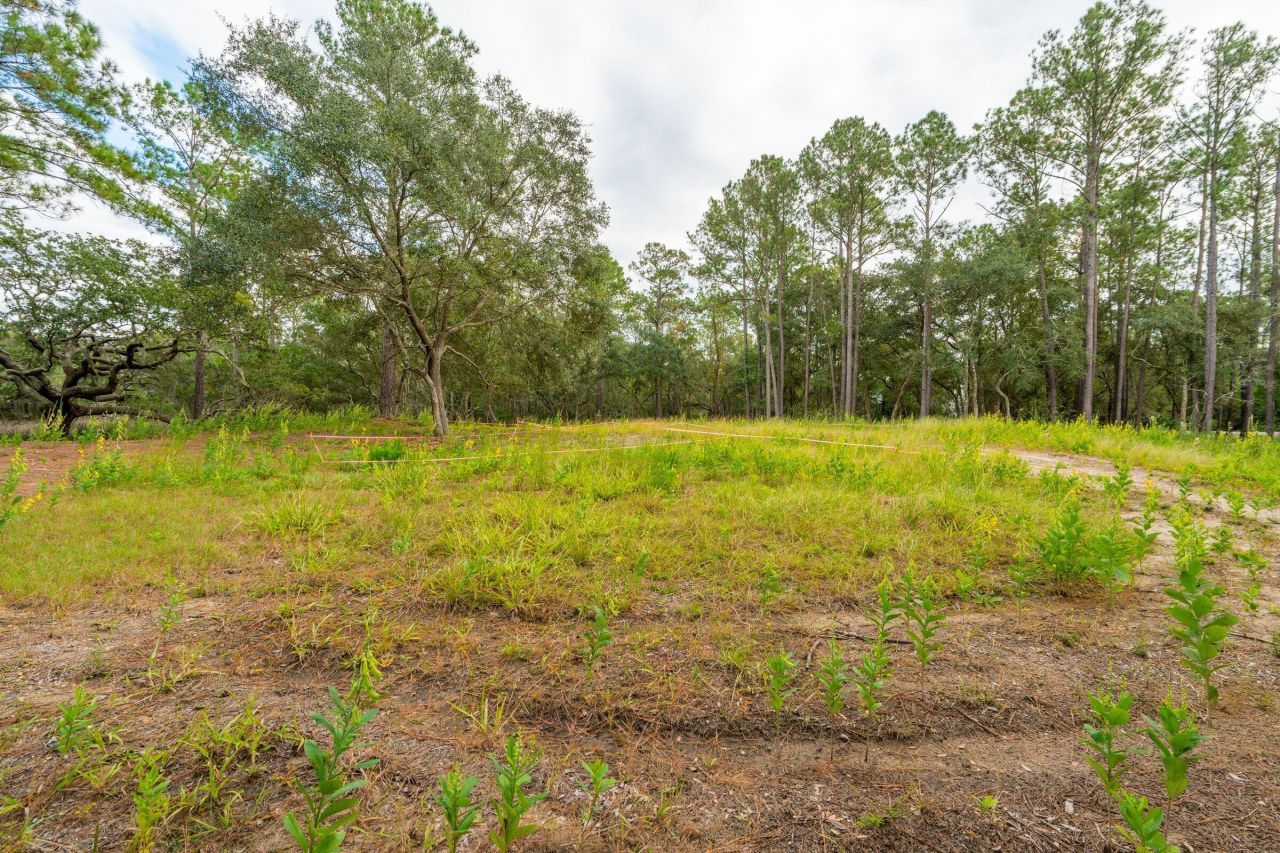 1420 Headquarters Plantation Drive Photo 8