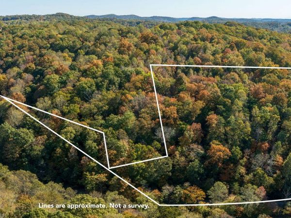 Strong Hollow Lane, Rocky Top, TN 37769