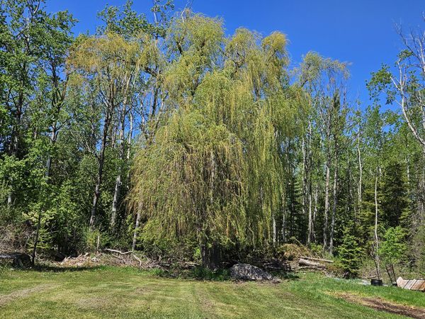 1334 N Cedar Street, Rogers City, MI 49779