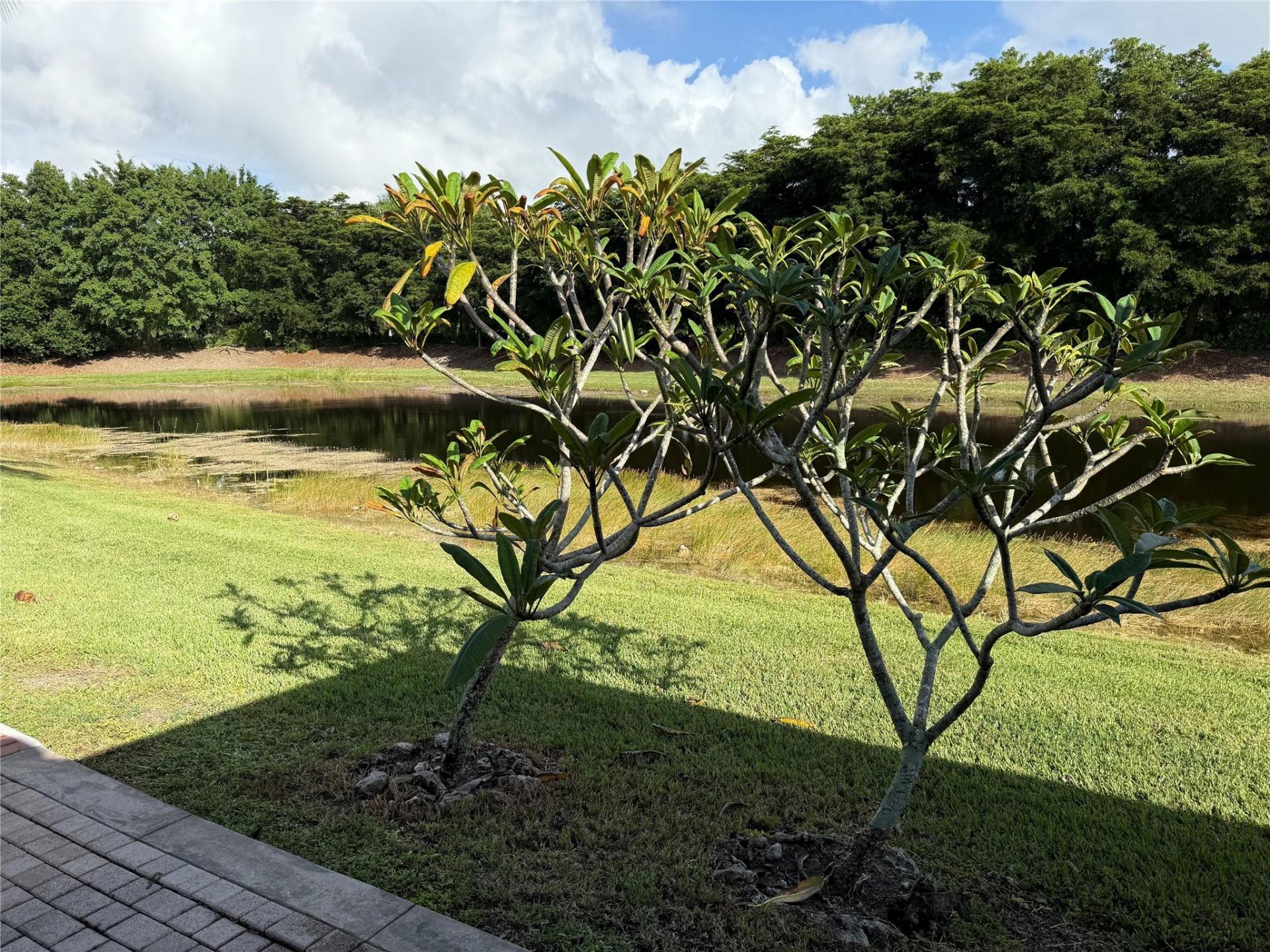 1954 Andromeda Lane, Weston, FL 33327 Photo