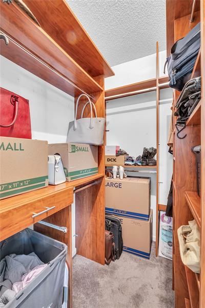 4165 S Pine Island Road, Unit 4165, Davie, FL 33328 Photo