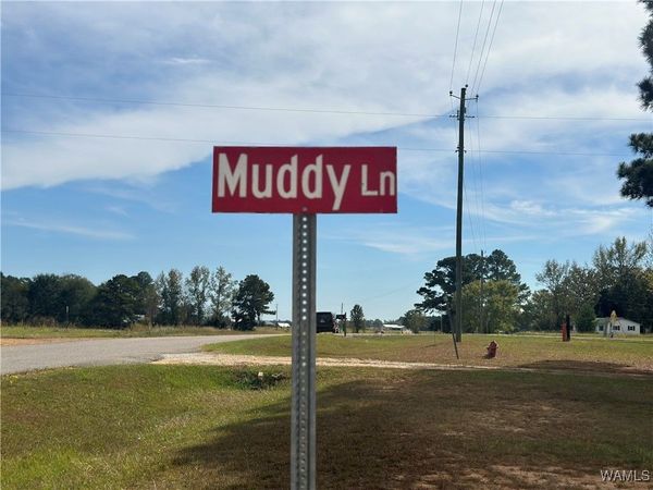 291 Muddy Lane, Reform, AL 35461