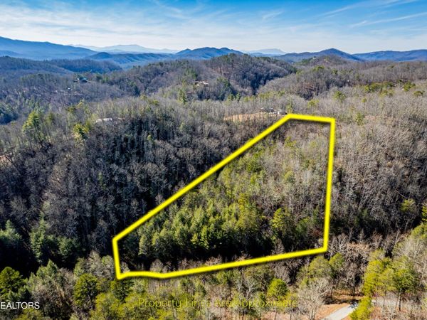Raymond Way, Cosby, TN 37722
