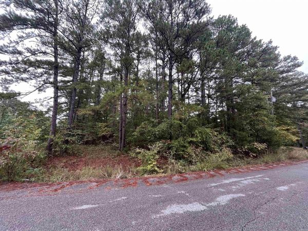 000 Redbud St., Higden, AR 72067