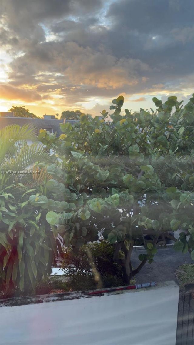 3908 SW 67th Ter, Unit 112, Davie, FL 33314 Photo