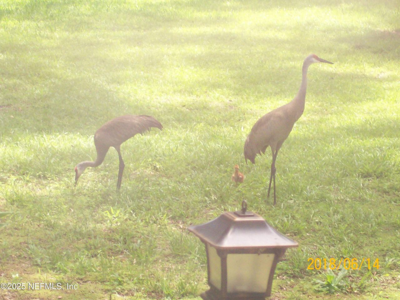 116 N Francis Street, Interlachen, FL 32148 Photo