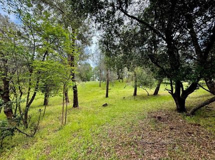 780 Castec Way, El Dorado Hills, CA 95762 Photo